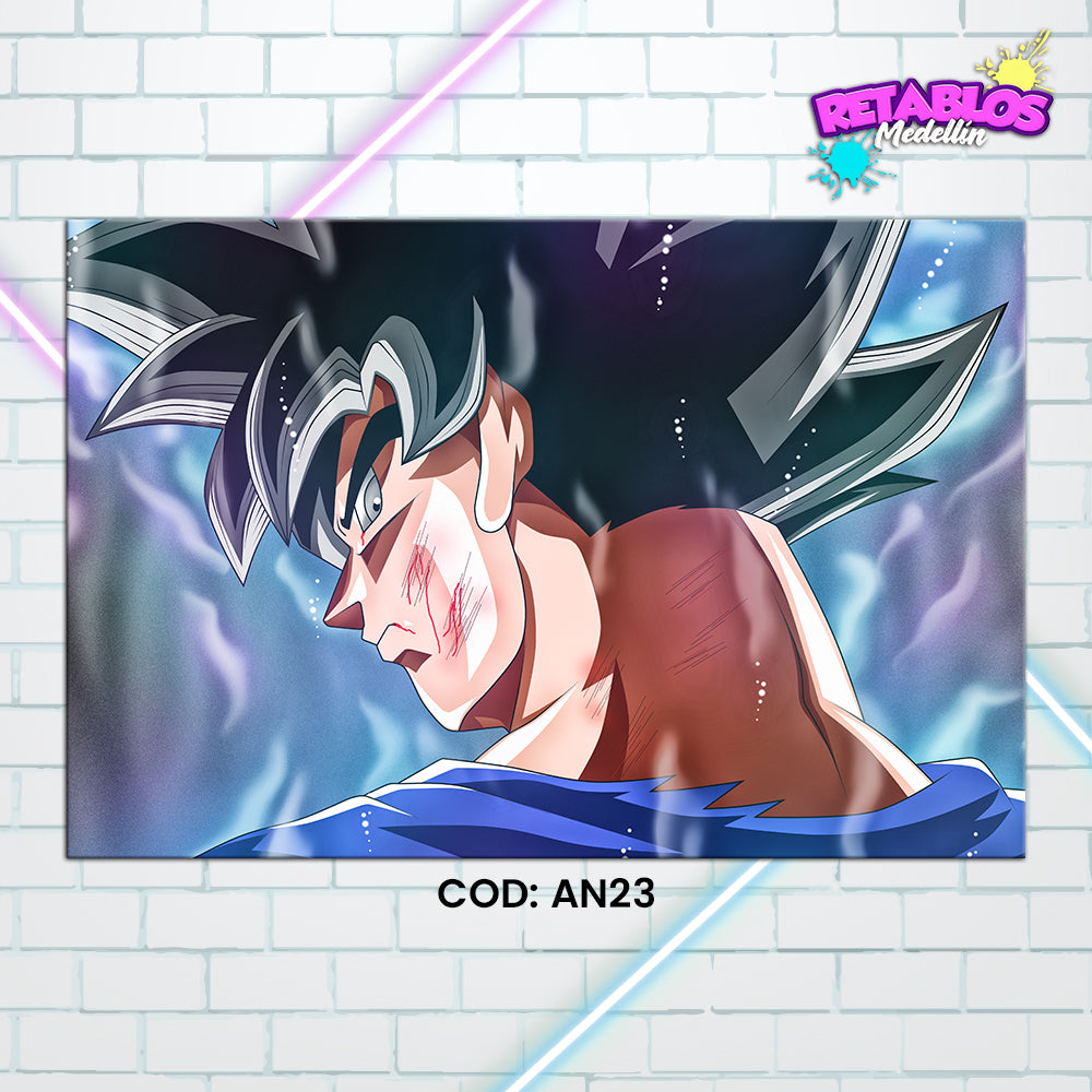 AN23 GOKU ULTRA INSTINTO