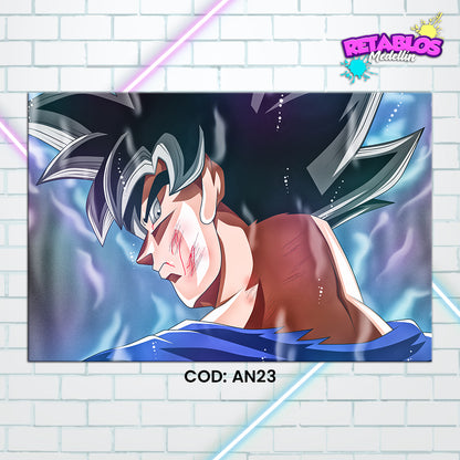 AN23 GOKU ULTRA INSTINTO