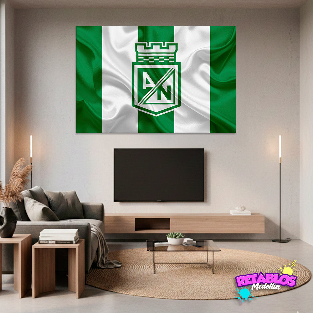 DE11 BANDERA NACIONAL